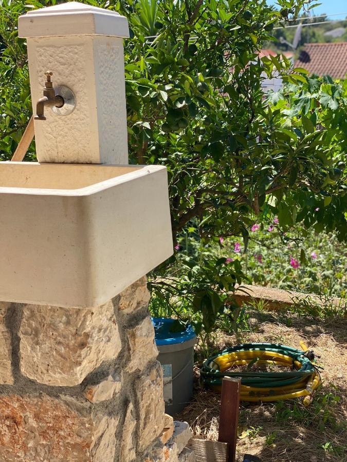 Lavanda Milna  Dış mekan fotoğraf